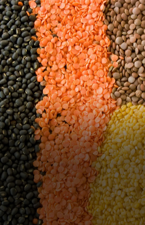 Lentils