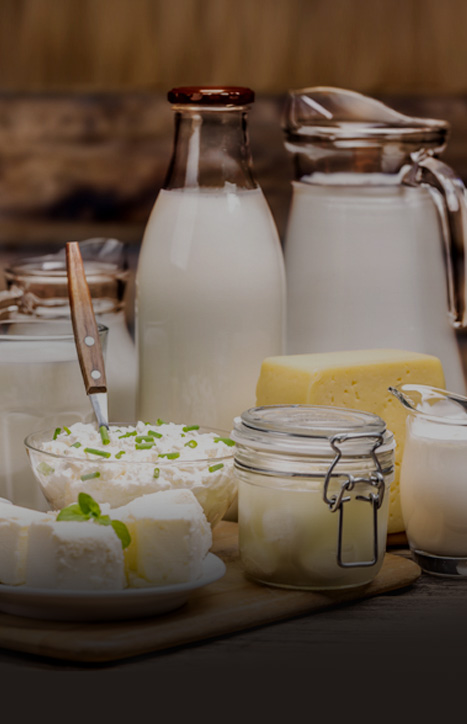 Dairy Products